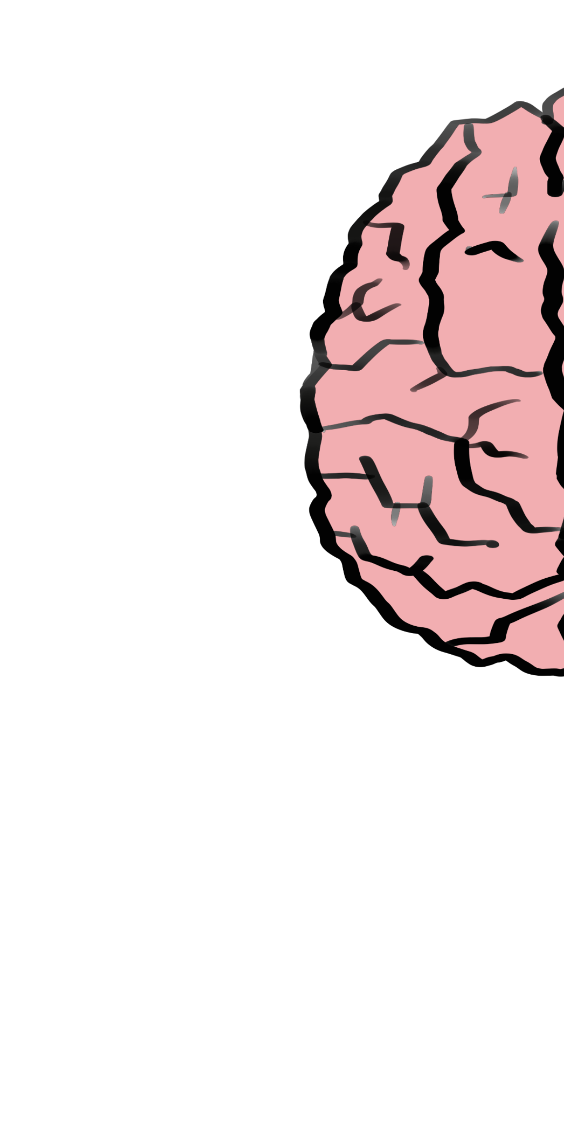 cartoon drawing of the left side of a brain