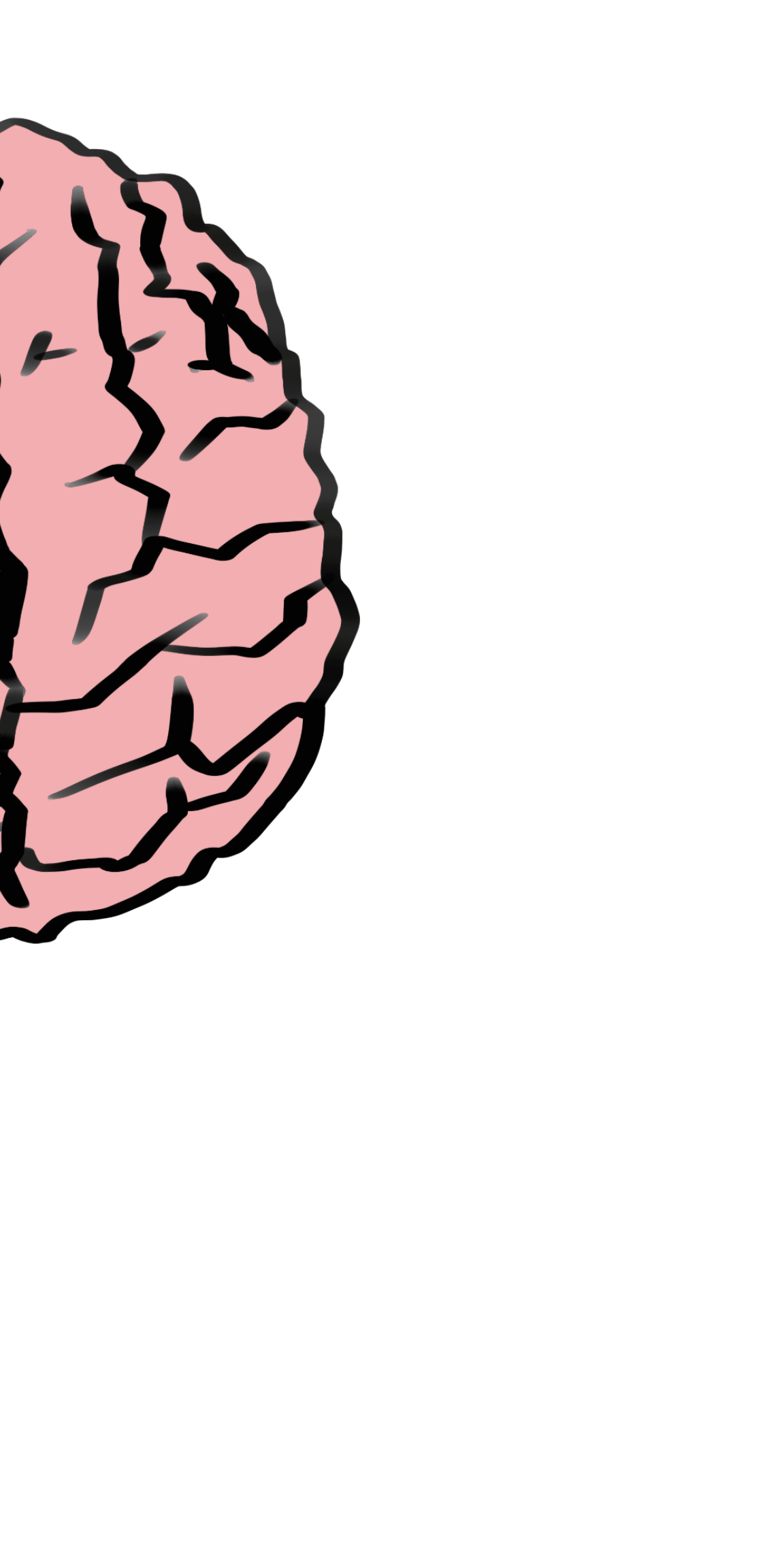 cartoon drawing of the right side of a brain