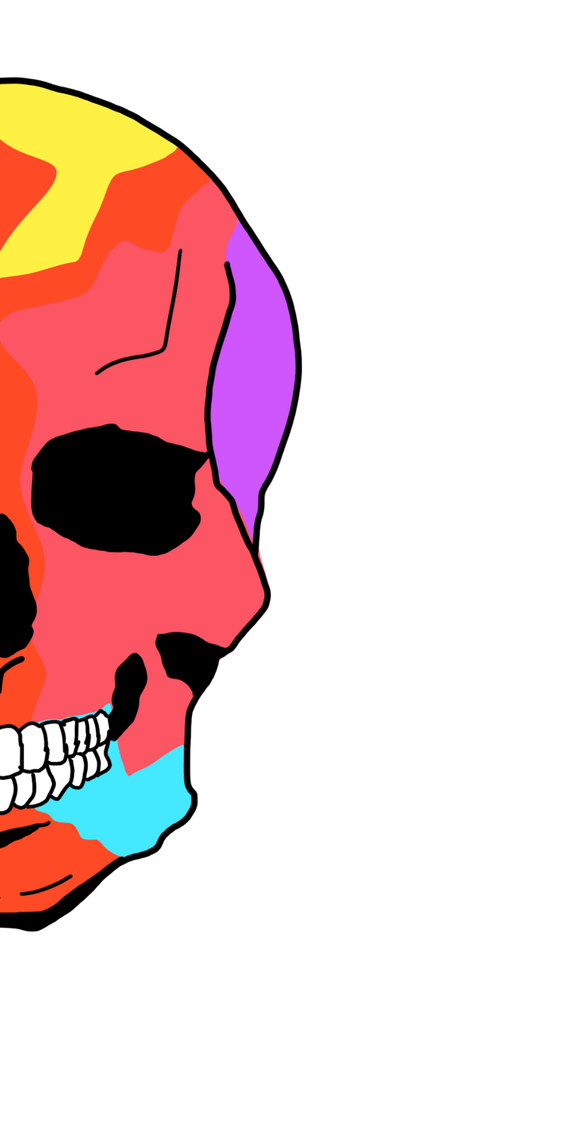 cartoon drawing of the right side of a colorful skull